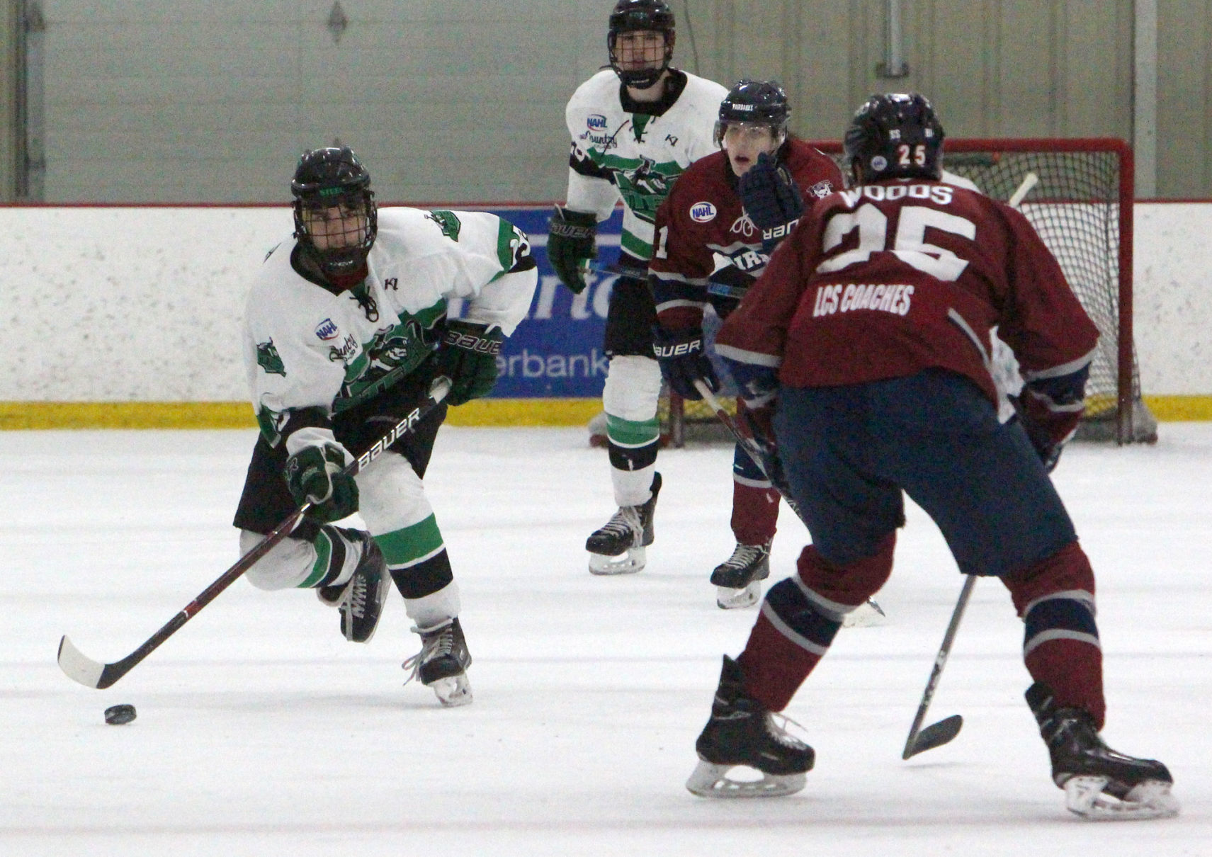 Fairbanks Ice Dogs at Chippewa Steel 12-29-18